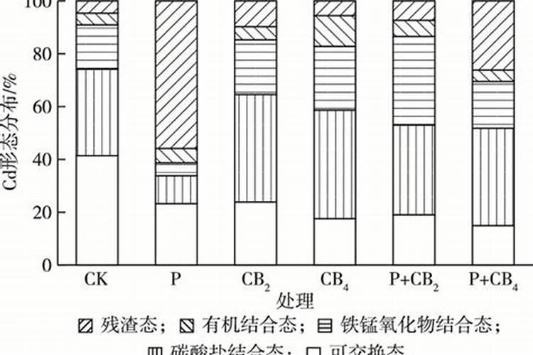果树环绕滴灌具体是如何开展的