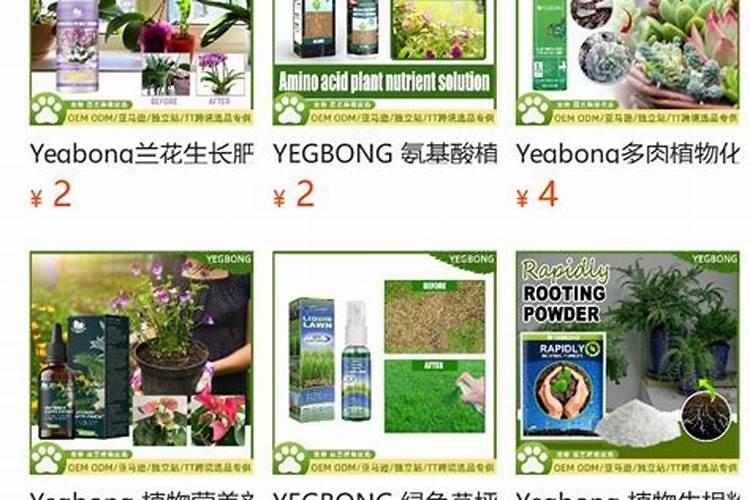 卡婷(关于卡婷的基本详情介绍)
