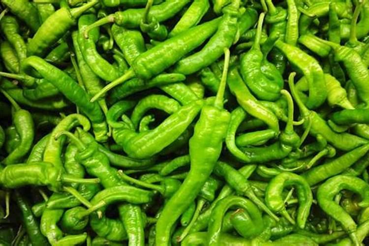 芝麻追肥用什么肥料好