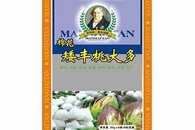樱桃什么品种好吃