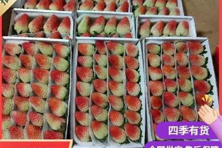 草莓挂果后几天施一次肥