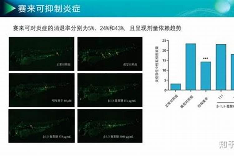 花生控旺用什么肥料最好？花生肥料怎么用果实饱满、颗粒大？