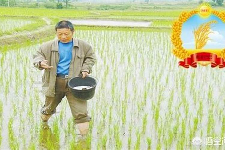 农药跟硼肥锌肥一起混打吗