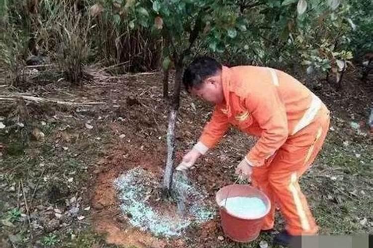 游泳馆余氯值高了,产生刺鼻气味,空气辣眼,怎么消除空气中的气味。注明...