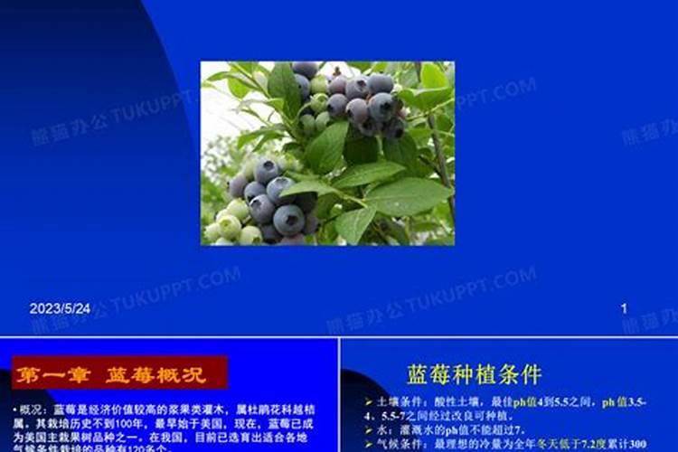 六氢吡啶 和 吡啶哪 个碱性强？