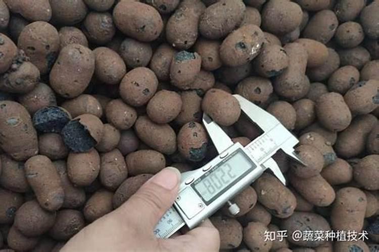 农业用氯化铵能追施小葱吗