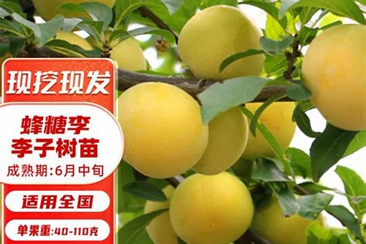 鱼蛋白对植物的作用