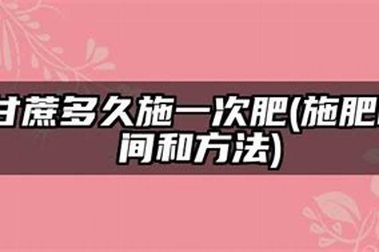 鸡蛋钙肥多久浇一次水
