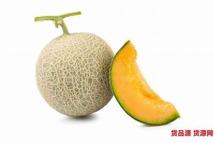 包菜育苗期在什么时候可以使用什么叶面肥,可以培育壮苗？