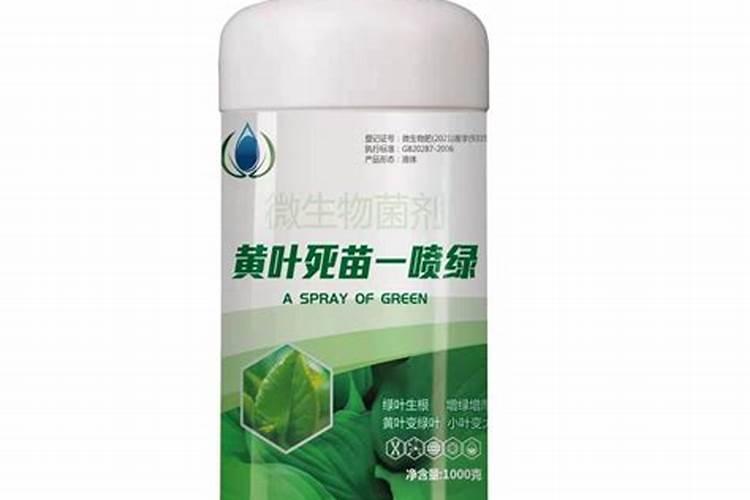 铵态氮肥为什么要深施覆土 铵态氮肥有哪些