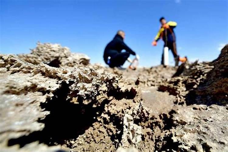 有什么具体措施能够让钾肥更好地被吸收