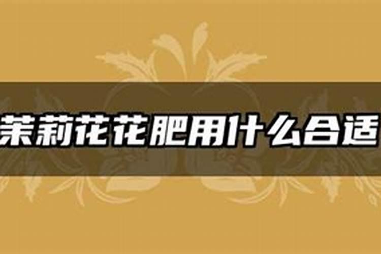 怎样找浇灌茉莉花的肥料？
