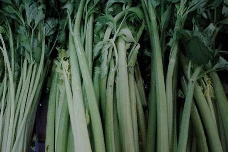 贡柑种植前如何施底肥