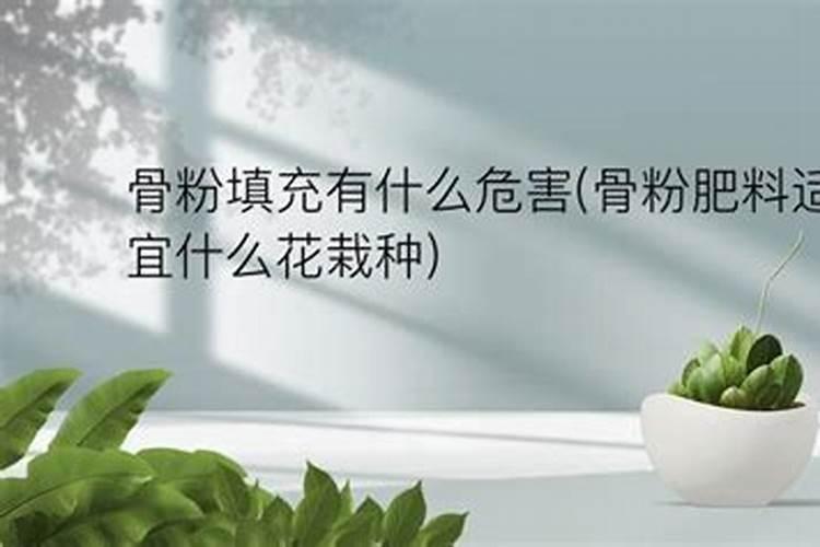 什么花需要施骨粉 什么花需要施骨粉肥料