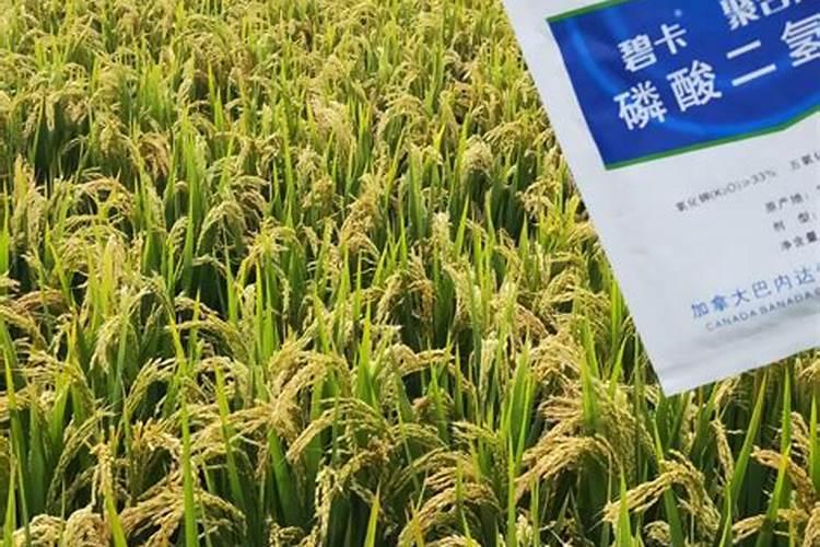 桃树叶面肥如何用磷酸二氢钾