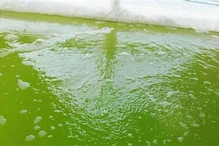 水产用氨基酸那个品牌好