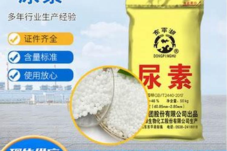 山东尿素生产厂家