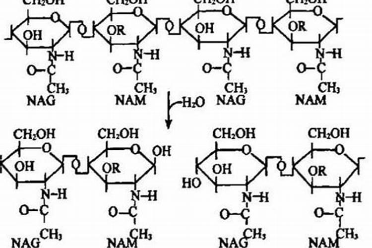 高端的就是不一样,含氨基酸水溶肥在辣椒上的应用叶面肥冲施肥