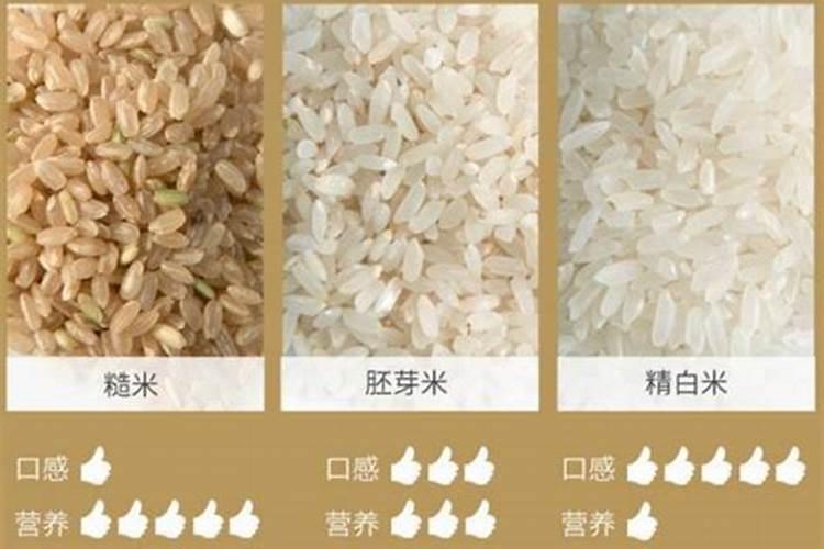 芹菜11月可以种植吗？