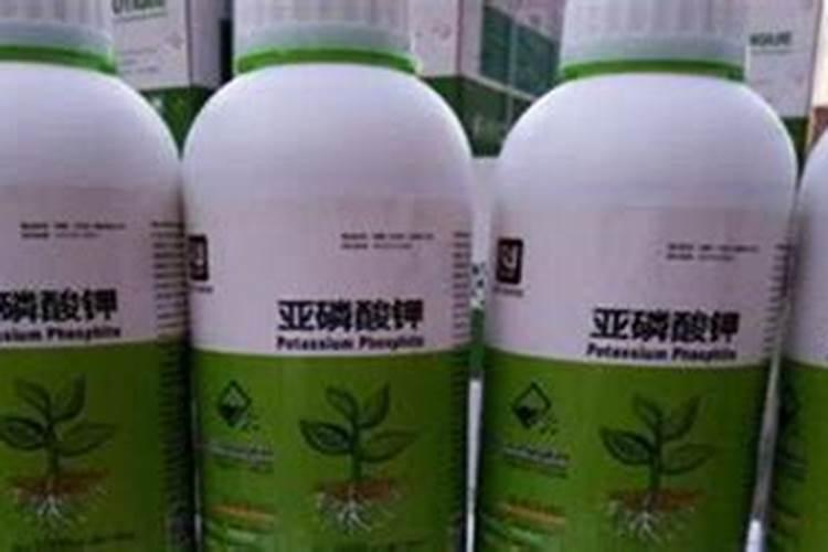 昙花不开花怎么办