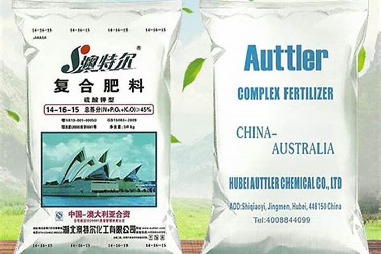 冬枣的养护方法