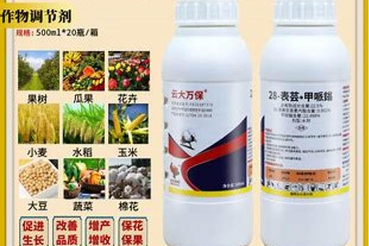 牡丹的施肥时间及方法