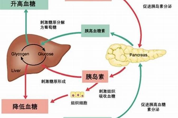 施钾肥能增加果子的甜度,那么施氮肥会出现什么情况？