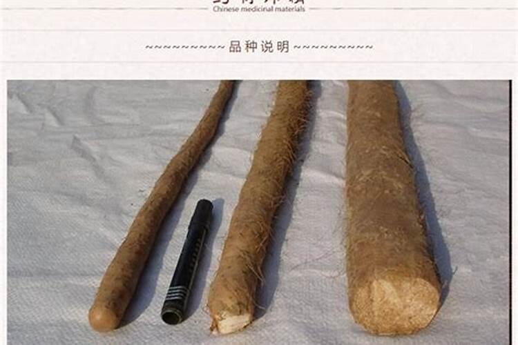 种植山药什么时间,冲钾肥最好？