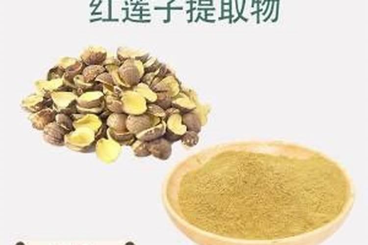橙子五天的变化？