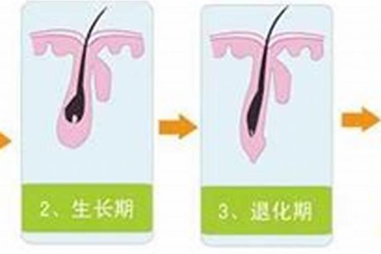 怎样提高叶面施肥的效果？