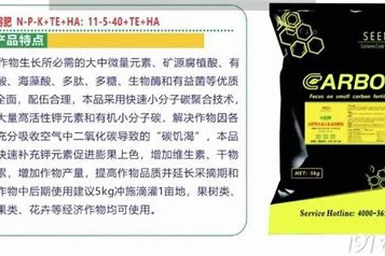 昙花施肥用什么肥料,昙花施肥方法