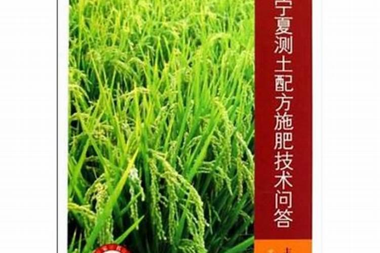 西瓜幼苗如何安全越冬
