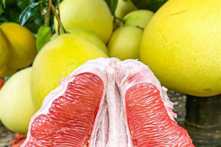 柚子树加什么肥料