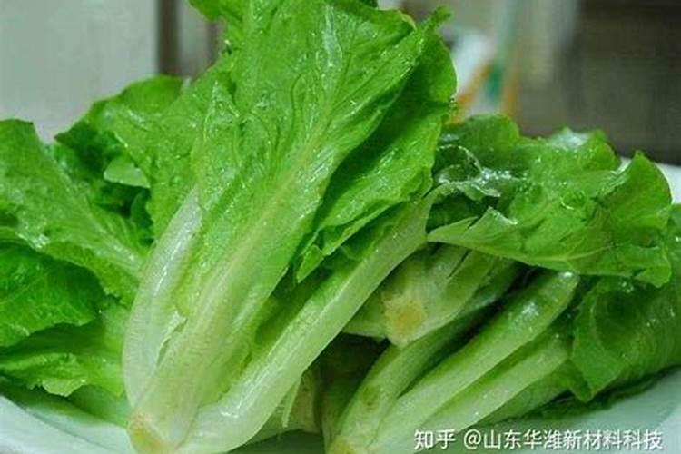 生菜控旺打什么农药