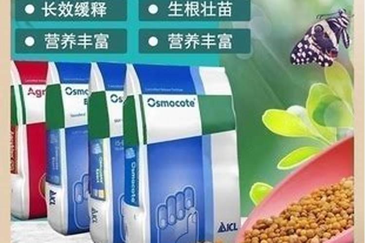 花的通用肥都有哪些 奥绿通用肥绿萝能用吗
