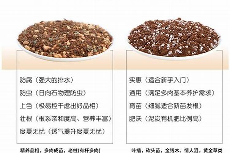 营养土简单制作方法