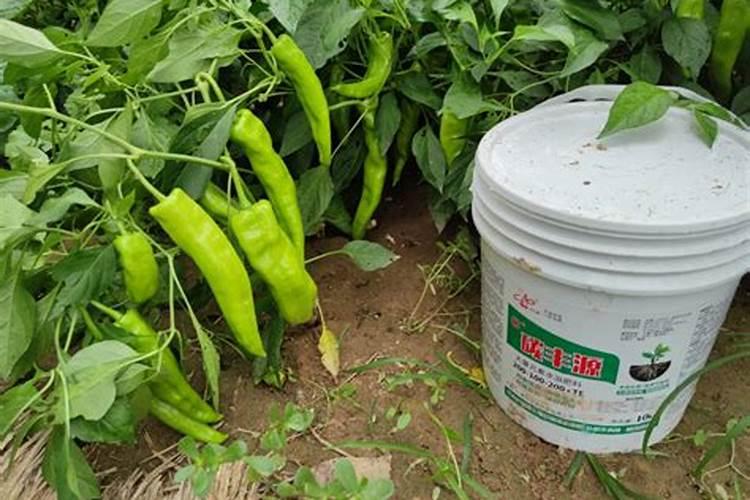 腐植酸水溶肥是什么肥料 腐植酸水溶肥料的作用有哪些