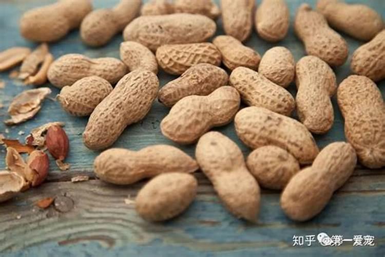 养海草注意事项 怎么养海草？