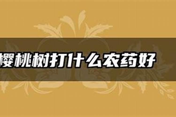 樱桃树几月份上水溶肥(樱桃树什么时候用水溶肥最好)