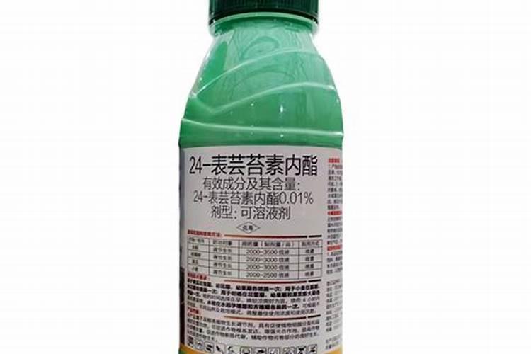 硕丰481芸苔素内酯多少钱一瓶？