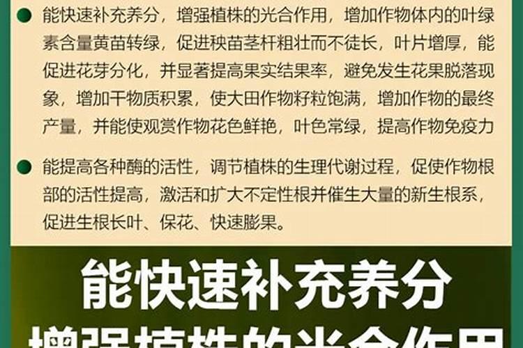 为什么80%的人偏爱“含氨基酸水溶肥”？看完彻底服了