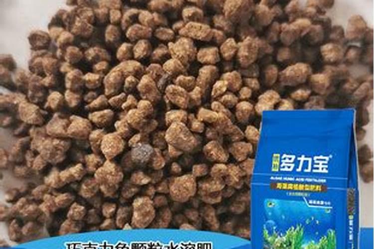 青岛有几家在生产海藻肥的工厂？