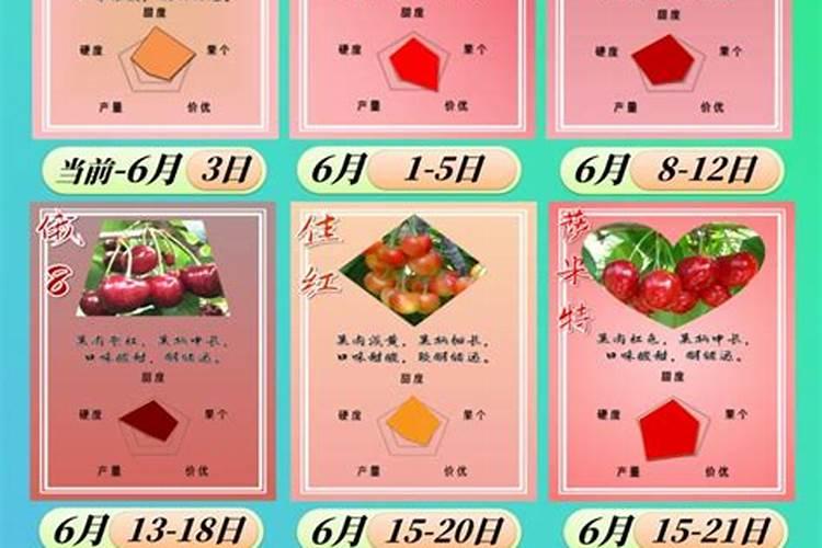 大连樱桃什么时候成熟 大连樱桃的品种有哪些
