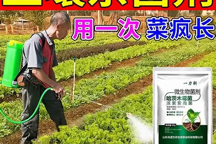 临沂化肥品牌 临沂化肥厂家 临沂有哪些化肥品牌【品牌库】