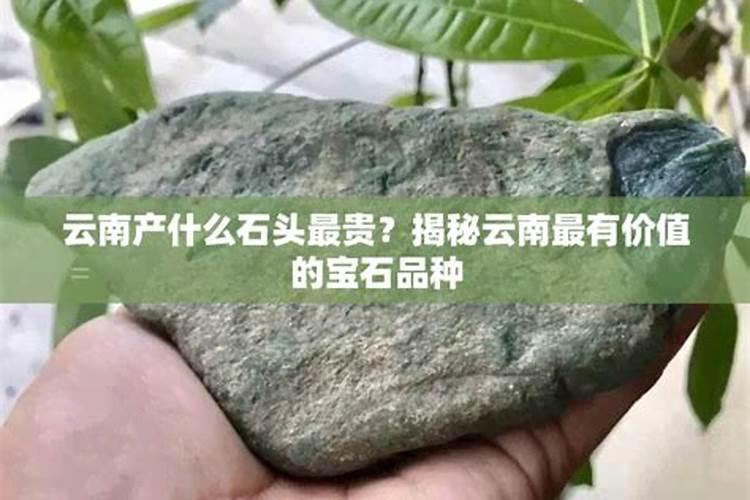 木化石和木化玉的区别在什么那？