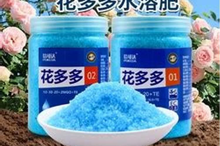 黑土地适合种植什么 黑土地适合种植哪些农作物