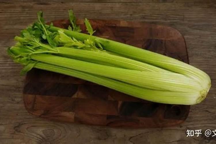 黄杨怕冻吗