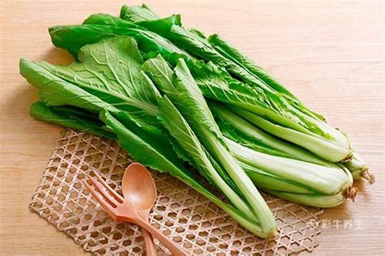 北方过冬油菜种植时间和方法
