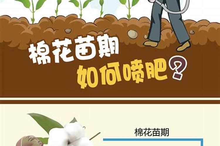 生物有机肥是什么肥料 生物有机肥执行标准有哪些