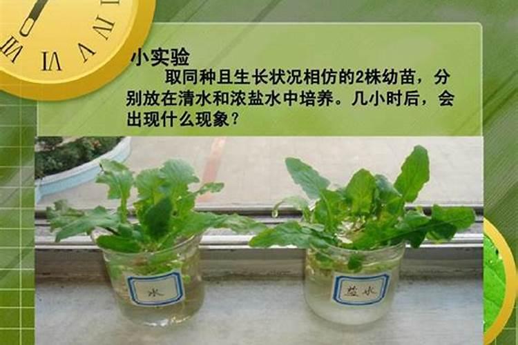 氯化铵分解方程式